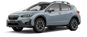 XV
