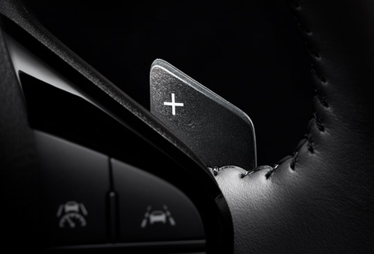 <sg-lang1>Paddle Switches</sg-lang1><sg-lang2></sg-lang2><sg-lang3></sg-lang3>